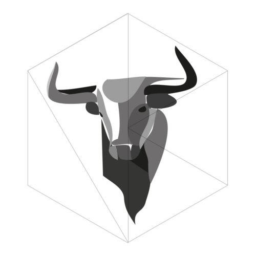 Stier Logo